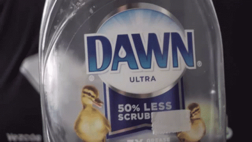 Brandocommando Dawn GIF