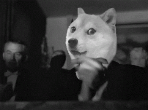 Bravo Doge GIF