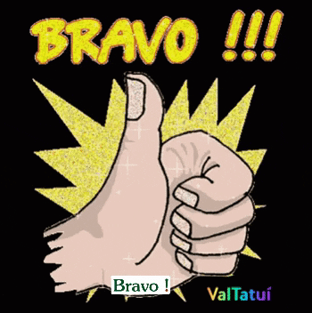 Bravo Valtatui GIF