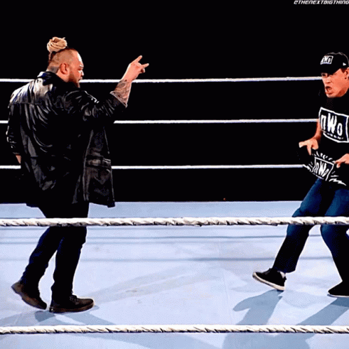 Bray Wyatt John Cena GIF