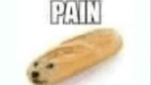 Bread Meme