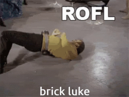 Brick Luke Rofl GIF