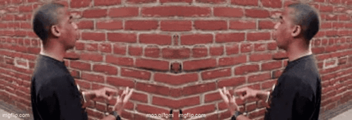 Brick Wall Two Brick Wall GIF