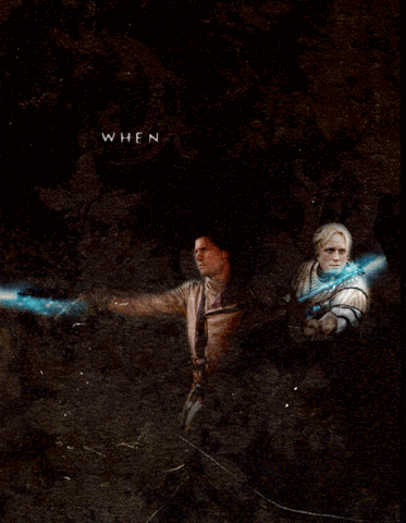 Brienne Of Tarth Jaime Lannister GIF