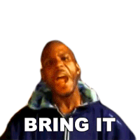 Bring It Dmx Sticker