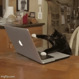 Bromous Crawler Made A Gif GIF