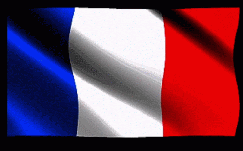 Brookhaven France Brookfr GIF