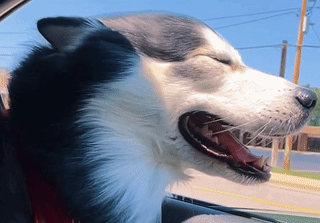 Bruce Bruce Baby GIF