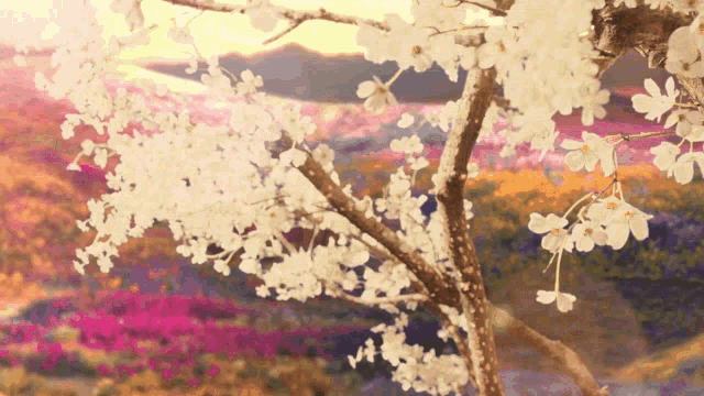 Bts Music Video GIF