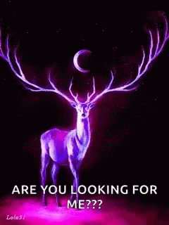 Buck Colorful Buck GIF
