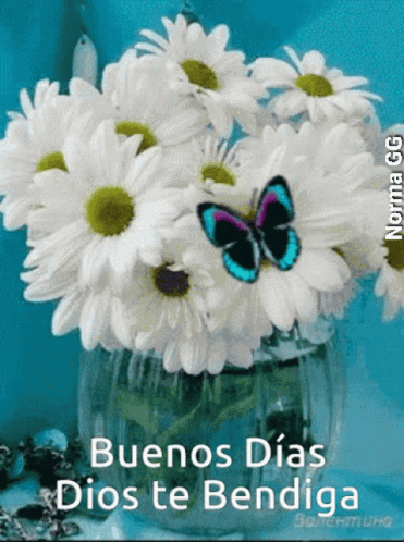 Buen Dia GIF