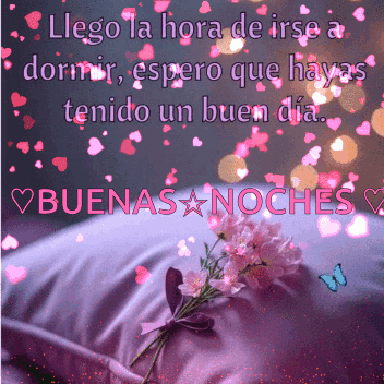 Buenas Noches GIF