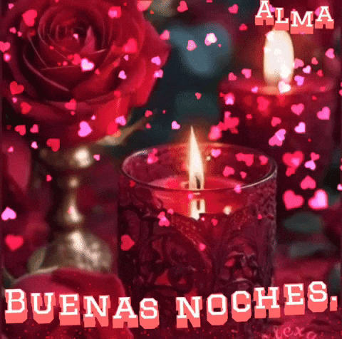 Buenas Noches Rosas Rojas GIF