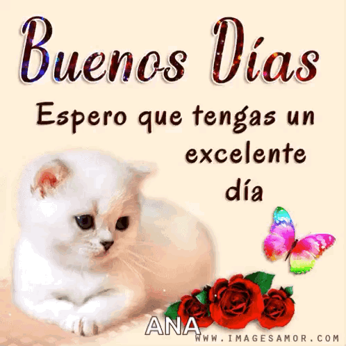 Buenos Días Lunes Inicio De Semana GIF