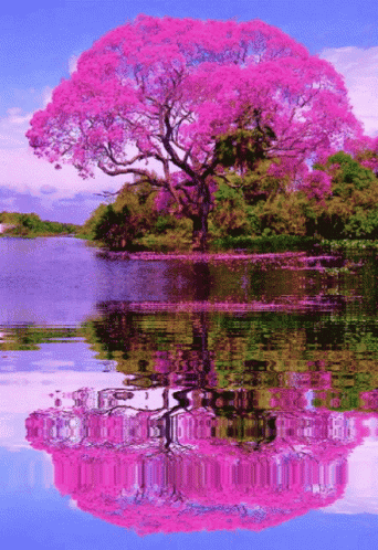 Buenos Días GIF