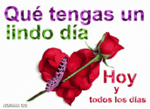 Buenos Días GIF