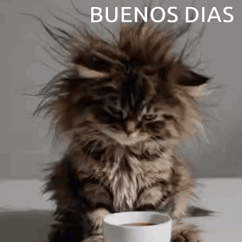 Buenos Dias Bendiciones Buenos Dias Amor GIF