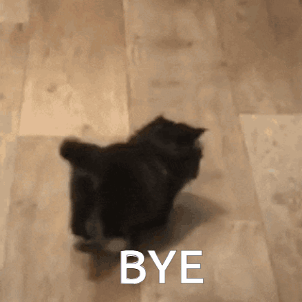 Bui Bye GIF