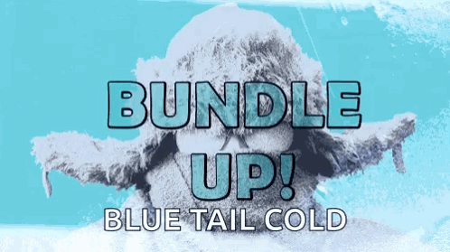 Bundleup Staywarm GIF