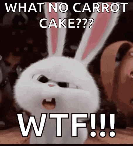 Bunnies What GIF