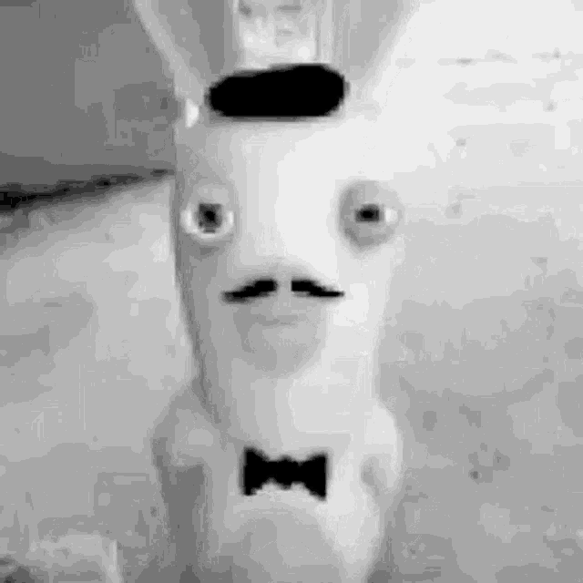 Bunny Fancy GIF