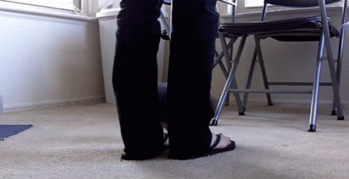 Bunny Rabbit GIF