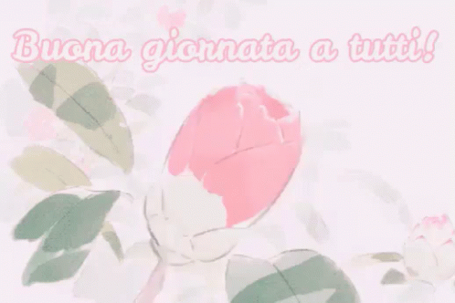 Buona Giornata A Tutti Buongiorno Buon Giorno Svegliarsi Buondì Passa Una Buona Giornata GIF