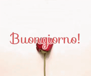 Buongiorno Felice Giorno Buona Giornata A Tutti Buon Giorno Svegliarsi Buondì GIF