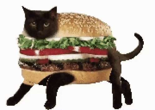 Burgercat Cat Burger GIF