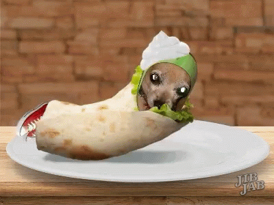 Burrito National Burri Today GIF