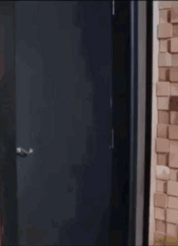 Bust Down Door Bust In Door GIF