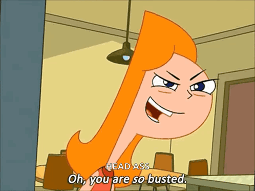 Busted Phineas And Ferb GIF