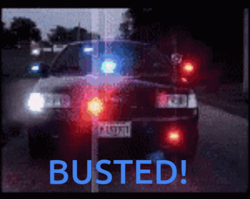 Busted Police GIF