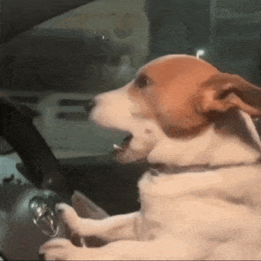 Buster Lookalike GIF
