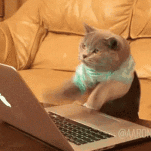 Busy GIF