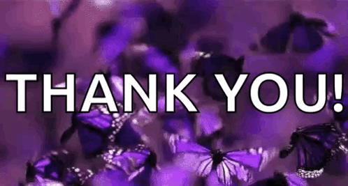 Butterflies Purple GIF