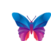 Butterfly Bird Sticker