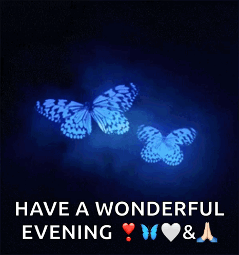 Butterfly Blue GIF