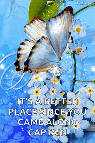 Butterfly Flower GIF