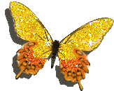 Butterfly Yellow Orange Sticker