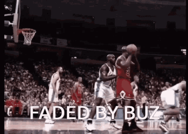 Buzdoovan Buzzzz GIF