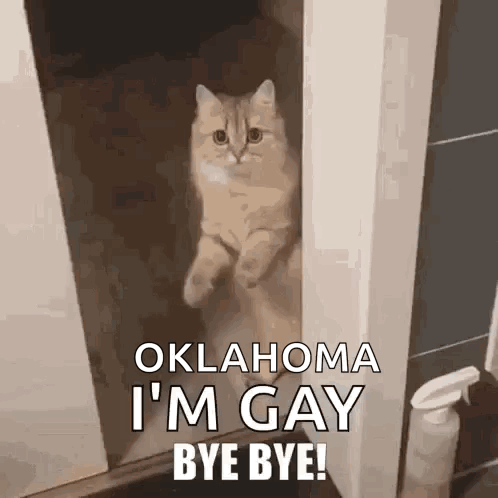 Bye Bye Cat GIF