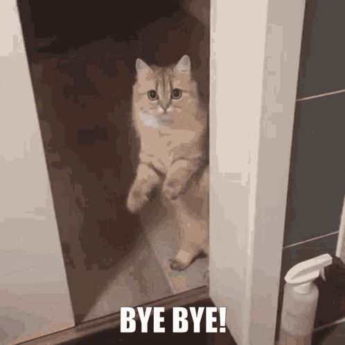 Bye Gif Bye Bye Gif GIF
