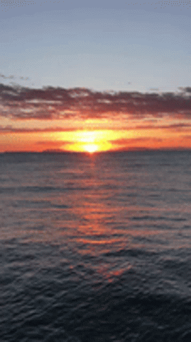 California Love GIF