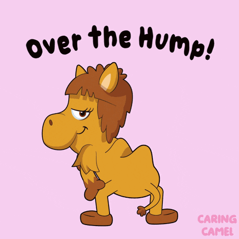 Camel Camel Day GIF