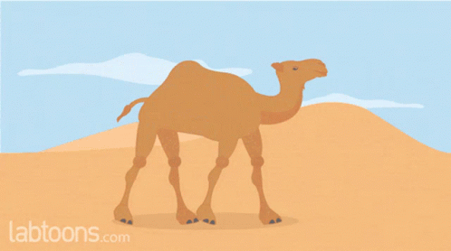 Camel Movement GIF