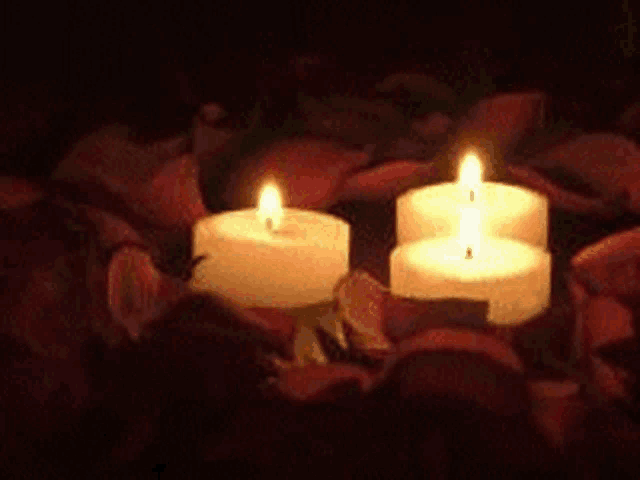 Candles Light GIF