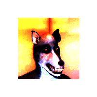 Canine Wolf Sticker