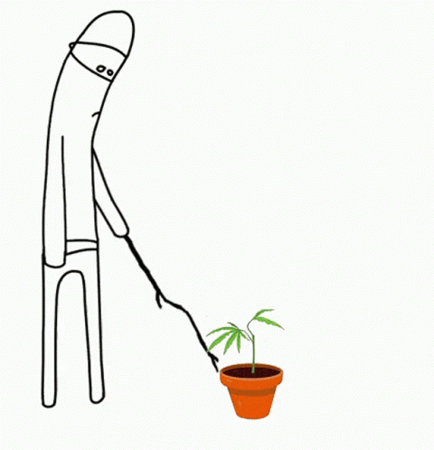 Cannabis Grow GIF