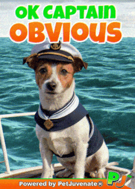 Captain Obvious Its Obvious GIF